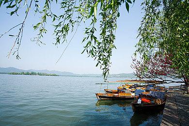 Team Ninja：《仁王》不太可能登陆Xbox平台